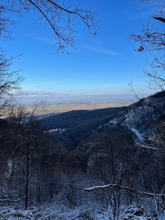 Wanderer Unterkunft Am Hexentanzplatz O Thale Luaran gambar