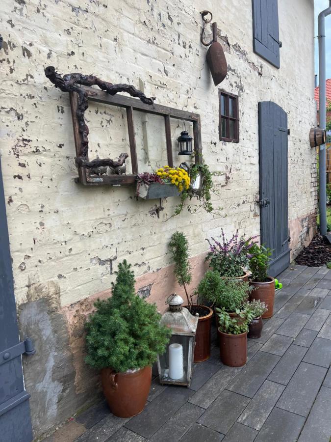 Wanderer Unterkunft Am Hexentanzplatz O Thale Luaran gambar